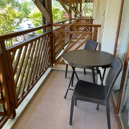 Mm Complex Dimitrovi Daire *