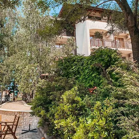 Daire Mm Complex Dimitrovi *