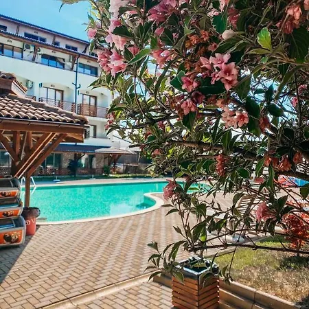 Mm Complex Dimitrovi بريمورسكو